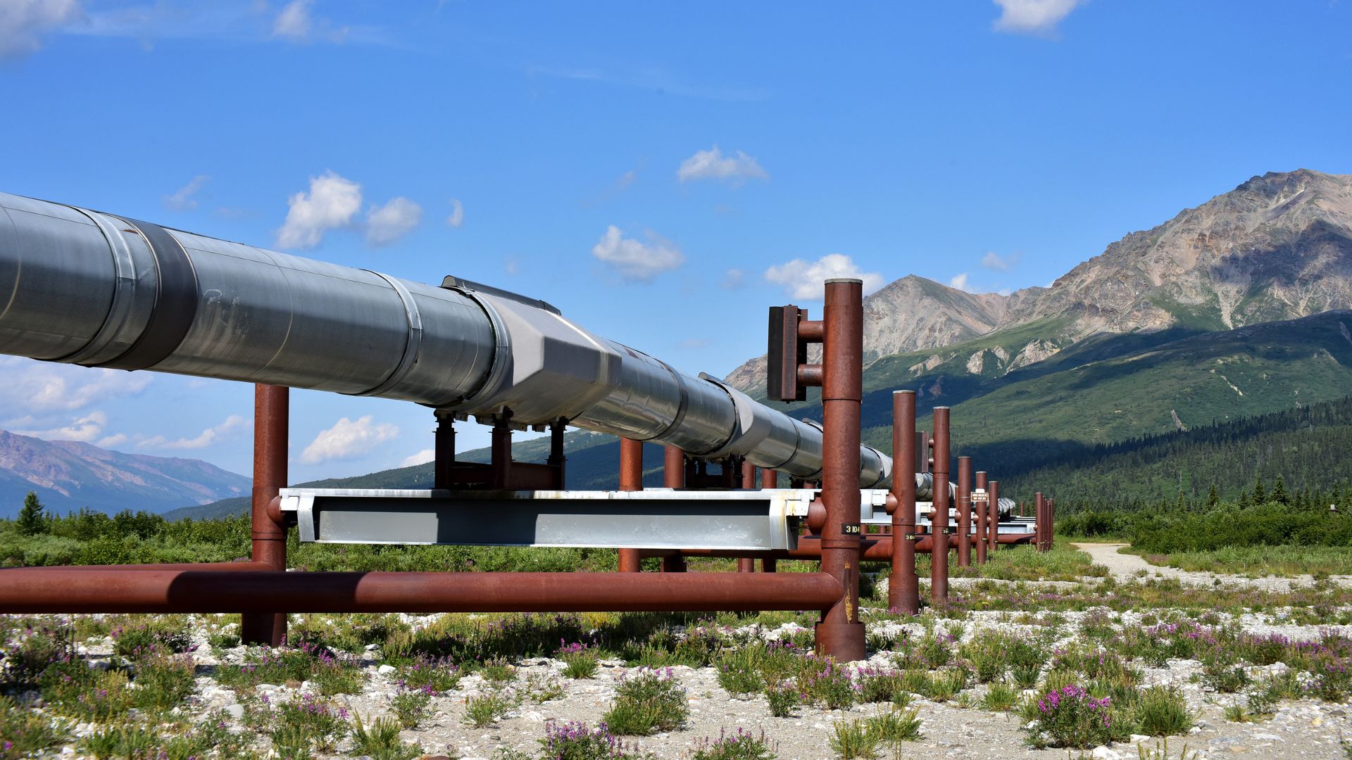 Biden Backs A 1300 Km Natural Gas Pipeline Project In Alaska   Alaska Pipeline 